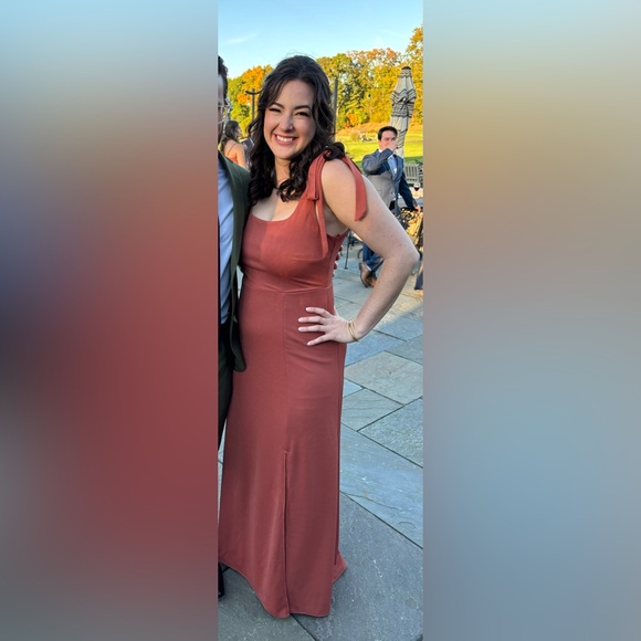 Birdy Grey Alex Convertible Dress in Terracotta (size L) - Picture 7 of 9